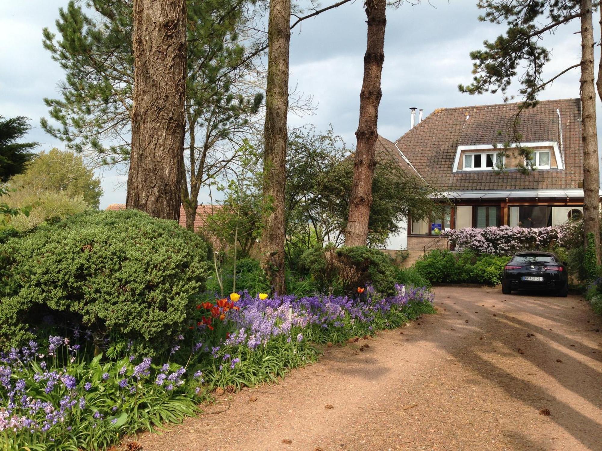 Greenfield Chambres D'Hotes Neufchâtel-Hardelot エクステリア 写真