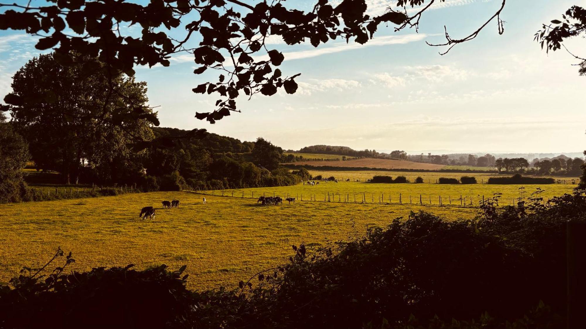 Greenfield Chambres D'Hotes Neufchâtel-Hardelot エクステリア 写真